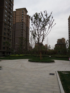 睿智禧园