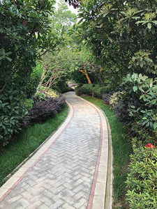 睿智禧园