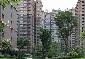 睿智禧园